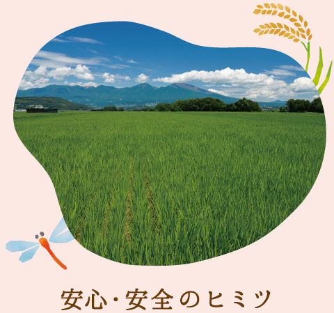 安心・安全のヒミツ