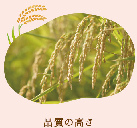 品質の高さ